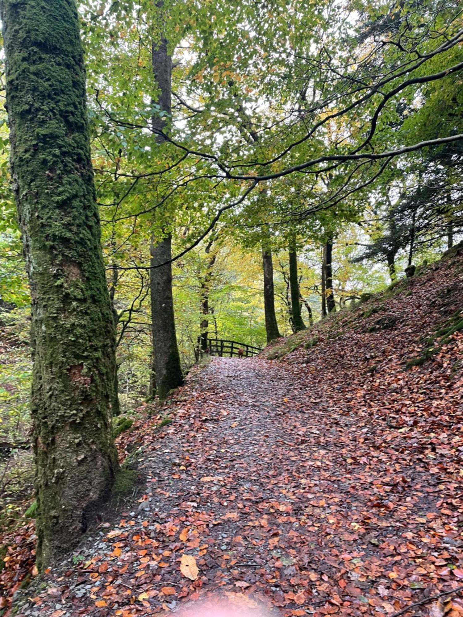 Grizedale View Διαμέρισμα Coniston Εξωτερικό φωτογραφία