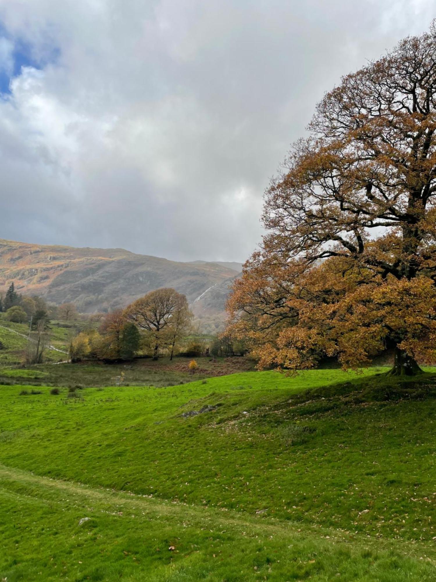 Grizedale View Διαμέρισμα Coniston Εξωτερικό φωτογραφία