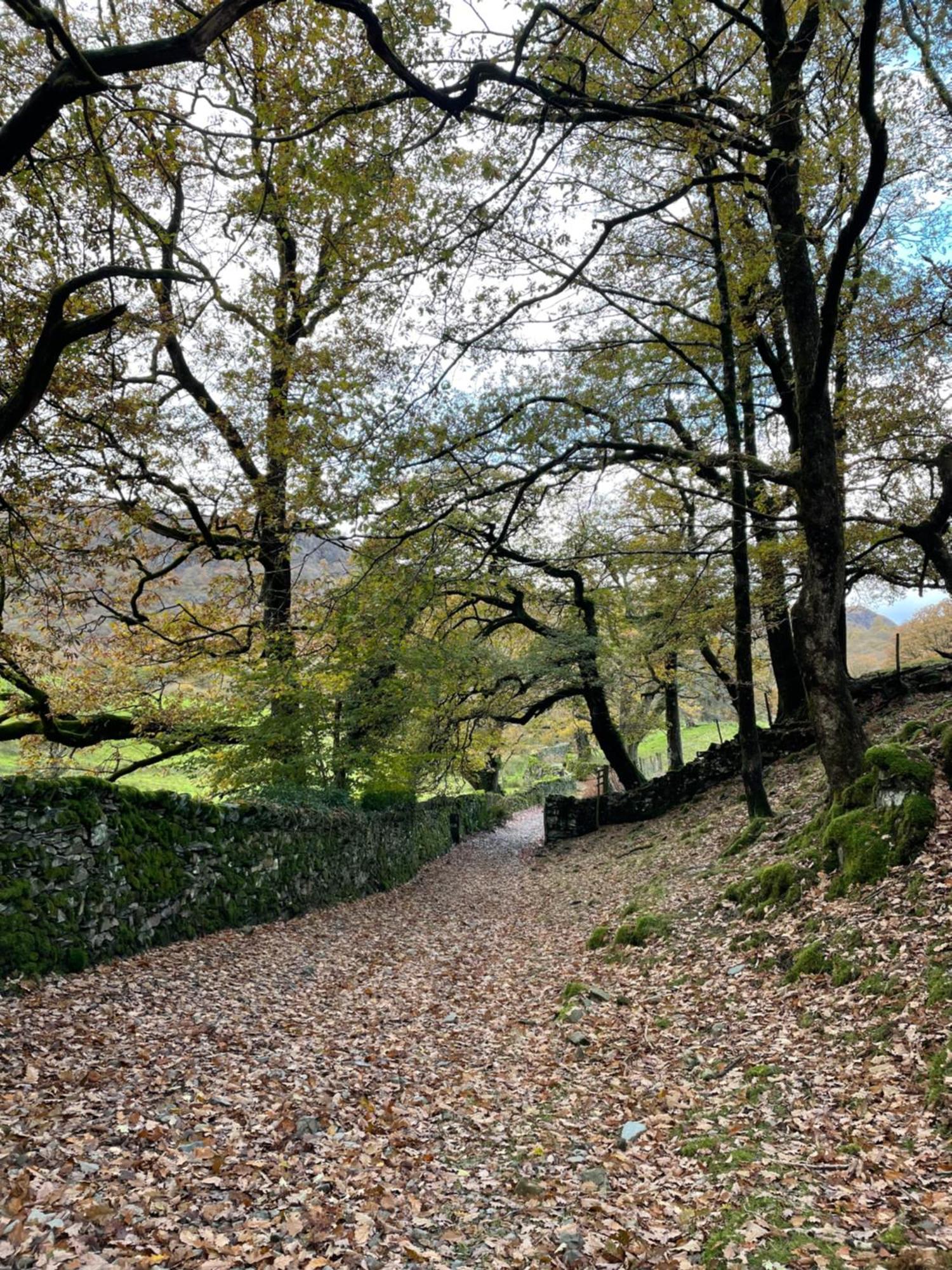 Grizedale View Διαμέρισμα Coniston Εξωτερικό φωτογραφία