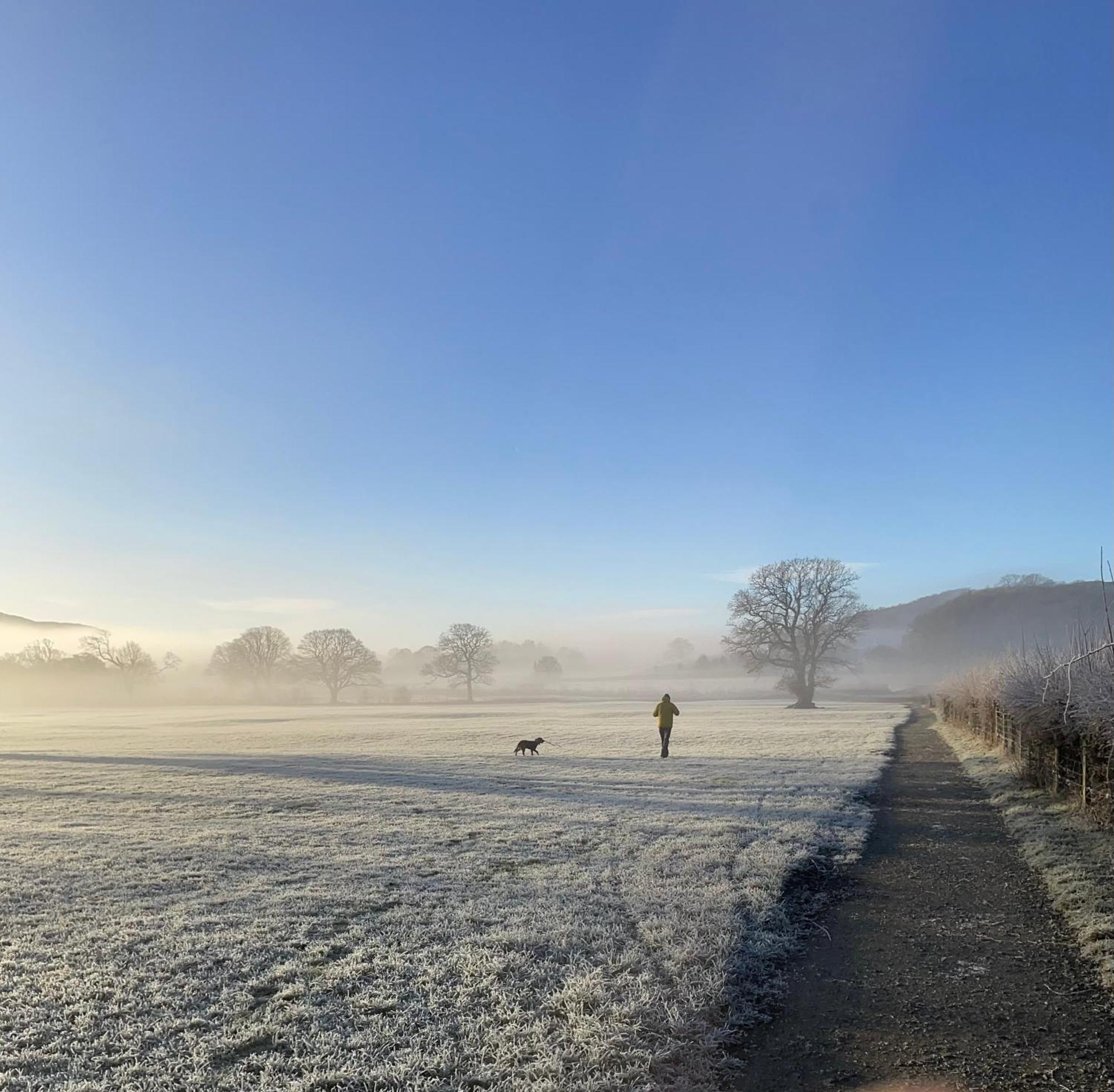 Grizedale View Διαμέρισμα Coniston Εξωτερικό φωτογραφία